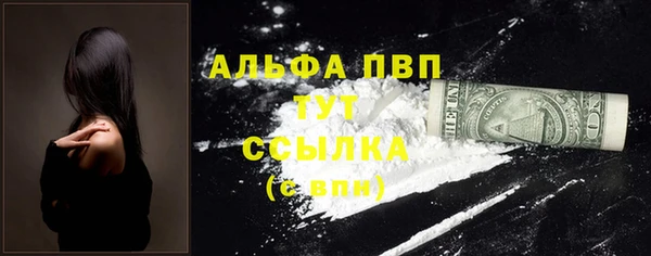 стафф Осташков