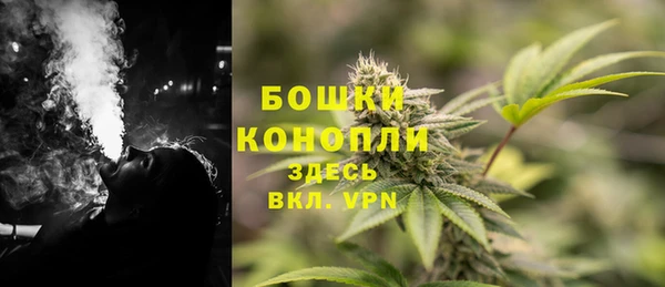 стафф Осташков