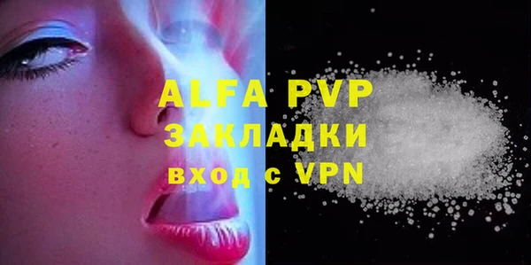 стафф Осташков