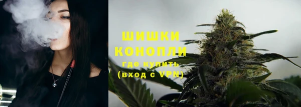 сатива Северо-Курильск