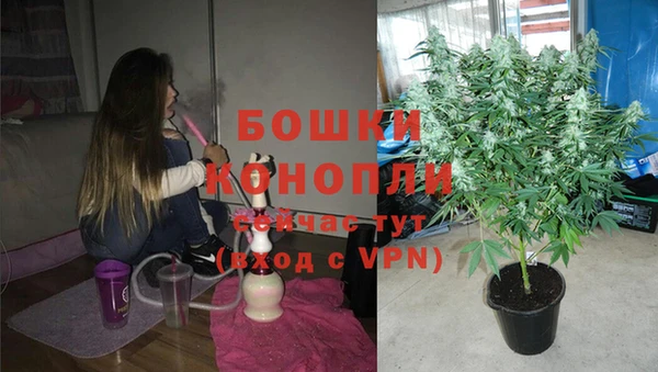 стафф Осташков
