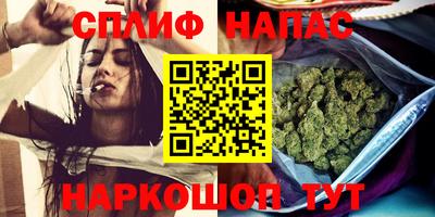 спиды Будённовск