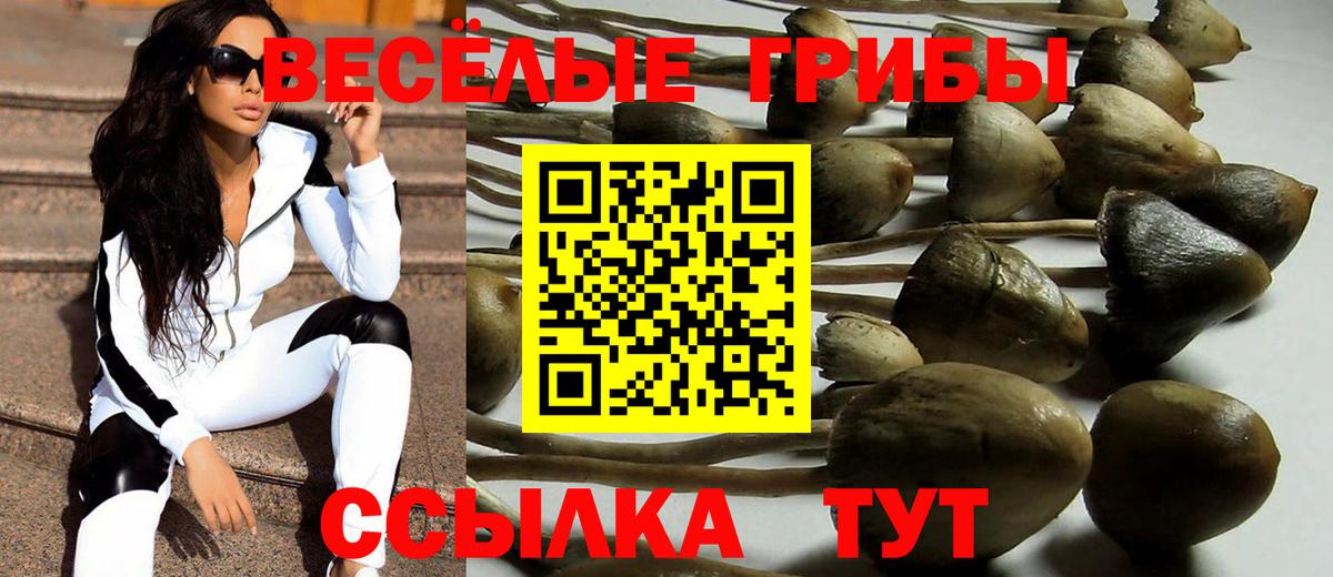 Галлюциногенные грибы Psilocybine cubensis  Псилоцибиновые грибы Cubensis  Приморско-Ахтарск  Вход с VPN 